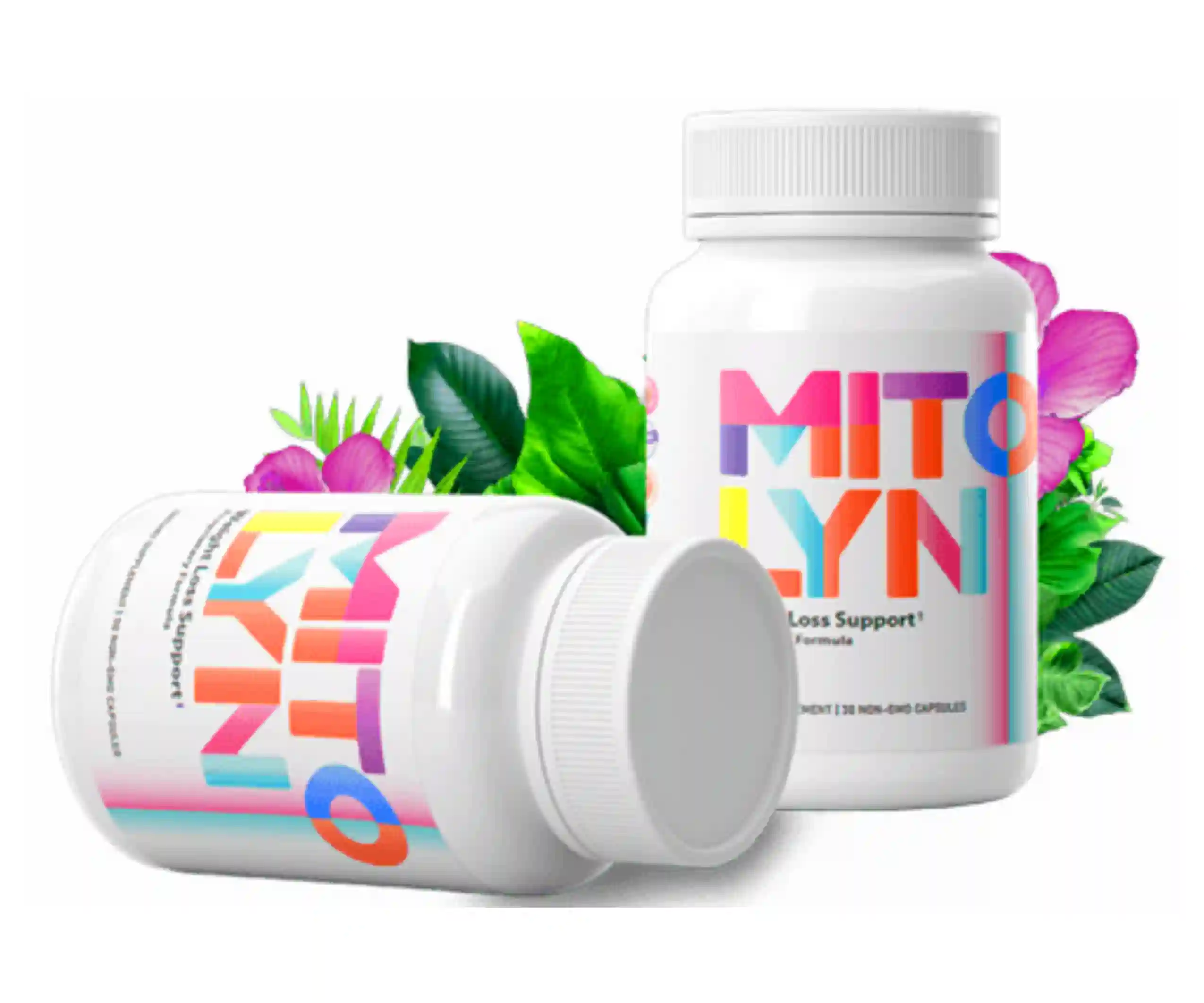 mitolyn